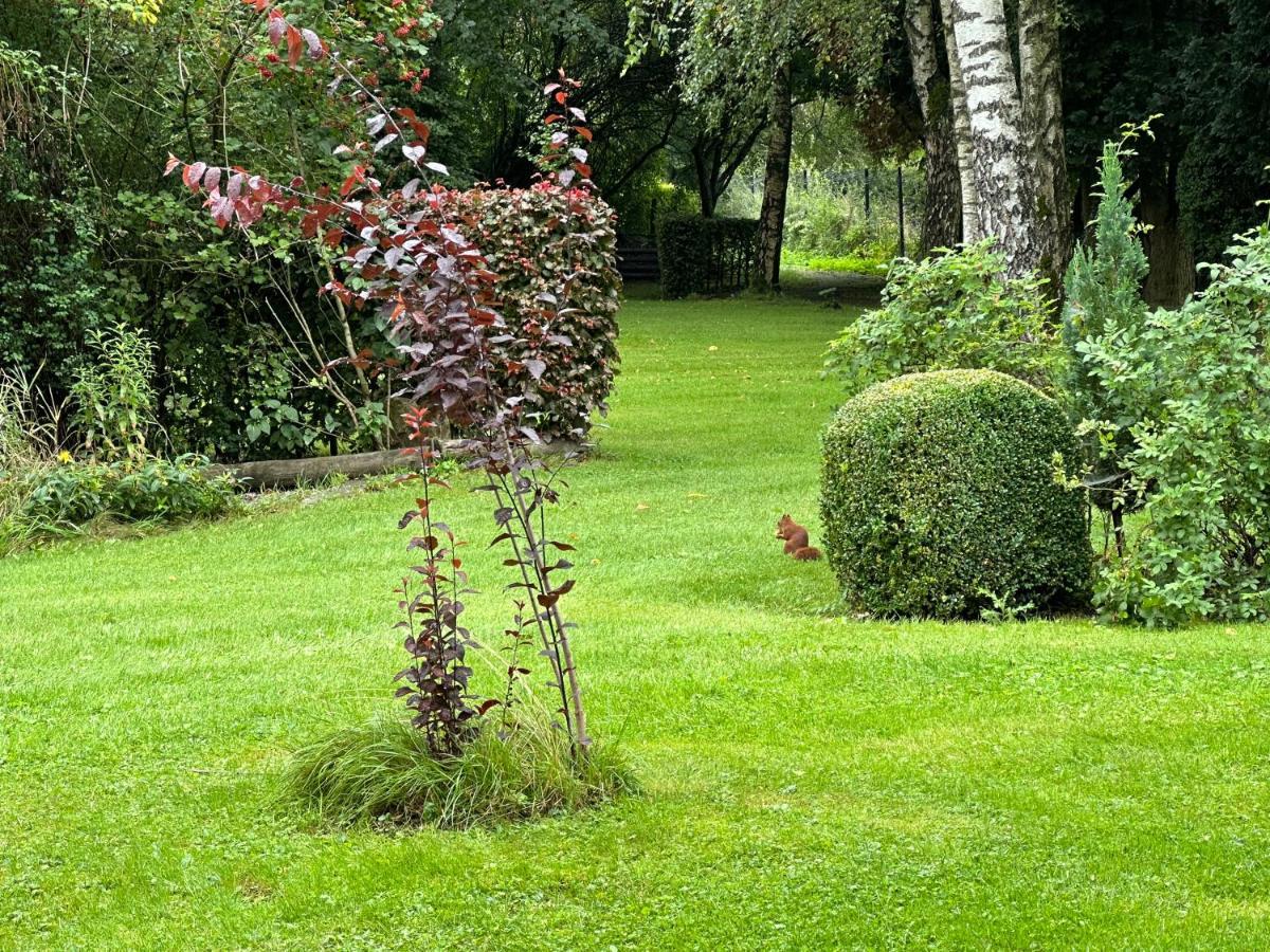 Hotel Steineweiher St. Vith Exterior foto